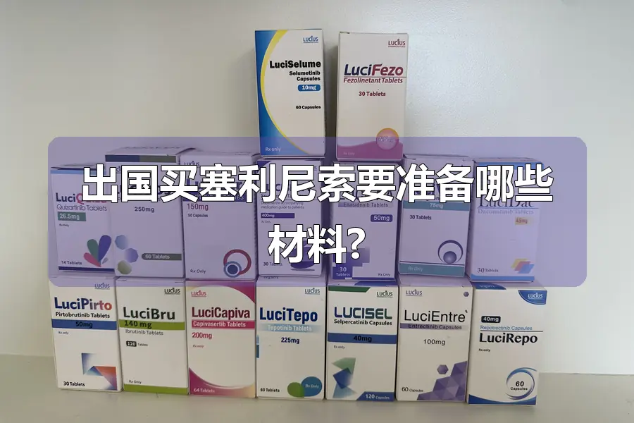 出国买塞利尼索要准备哪些材料?