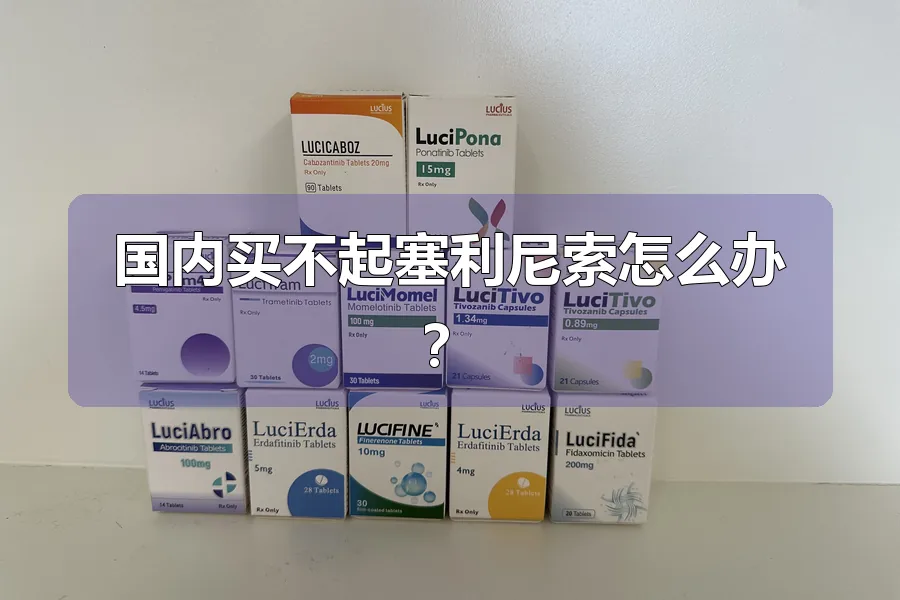 国内买不起塞利尼索怎么办？
